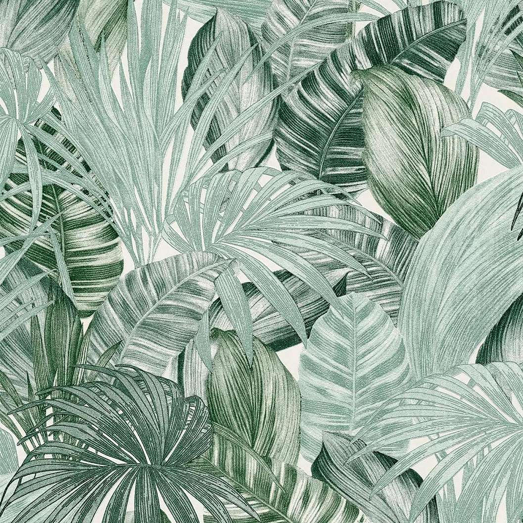 Zöld-fehér nagy léptékű trópusi levélmintás vlies tapéta