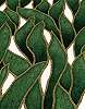 Zöld inda mintás vlies design tapéta
