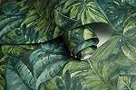 Zöld, kék trendi trópusi levélmintás vlies tapéta