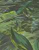Zöld trópusi levélmintás modern vlies dekor tapéta