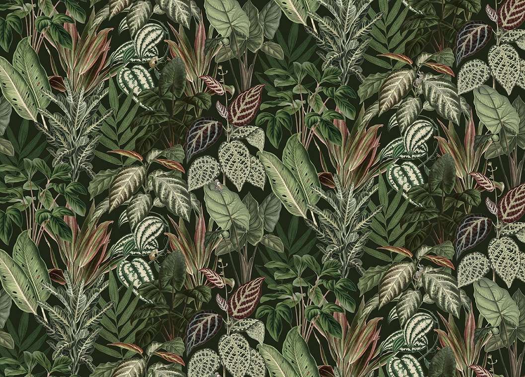 Zöld trópusi növényfal mintás posztertapéta