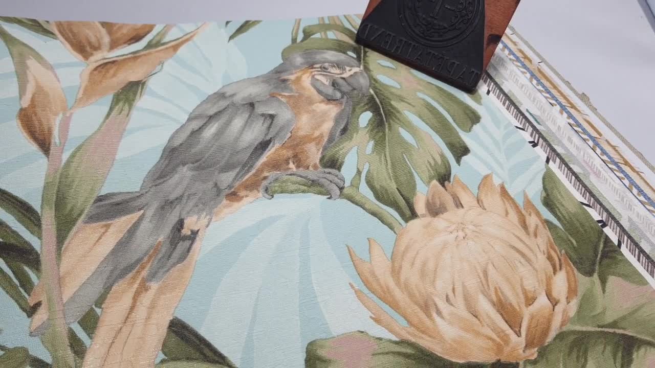 Trópusi dzsungel mintás vlies design tapéta papagáj és tukán madár mintával