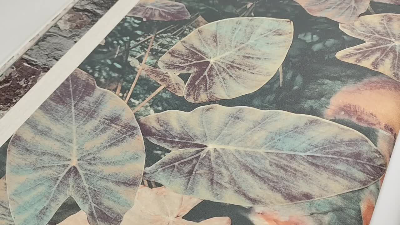 Design tapéta tavirózsa és koi ponty mintával keleties stílusban