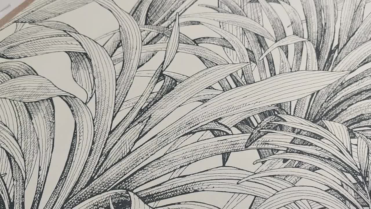 Fekete fehér dekor tapéta trópusi pálmaleveles mintával