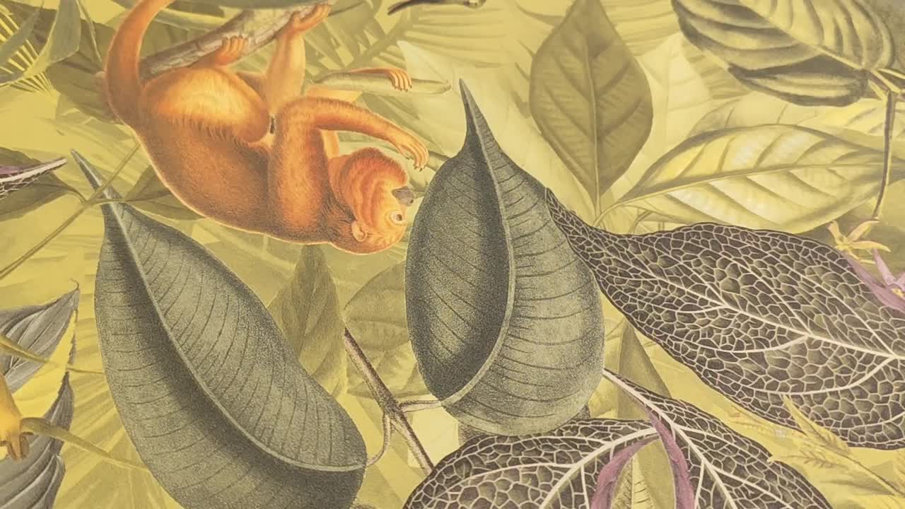 Sárgászölddzsungel és egzotikus állat mintás vlies design tapéta