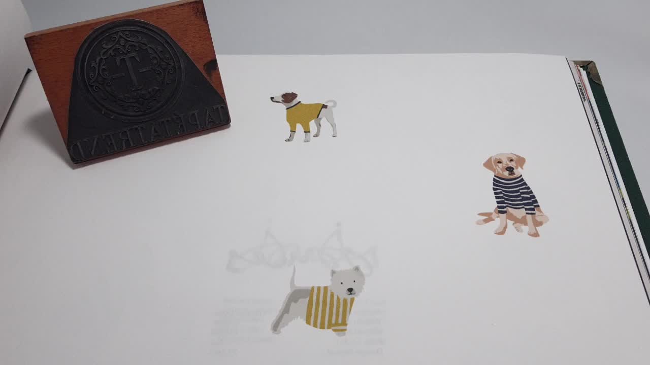 Kutya mintás vlies design tapéta fehér alapon agár csivava labrador kutyus mintákkal