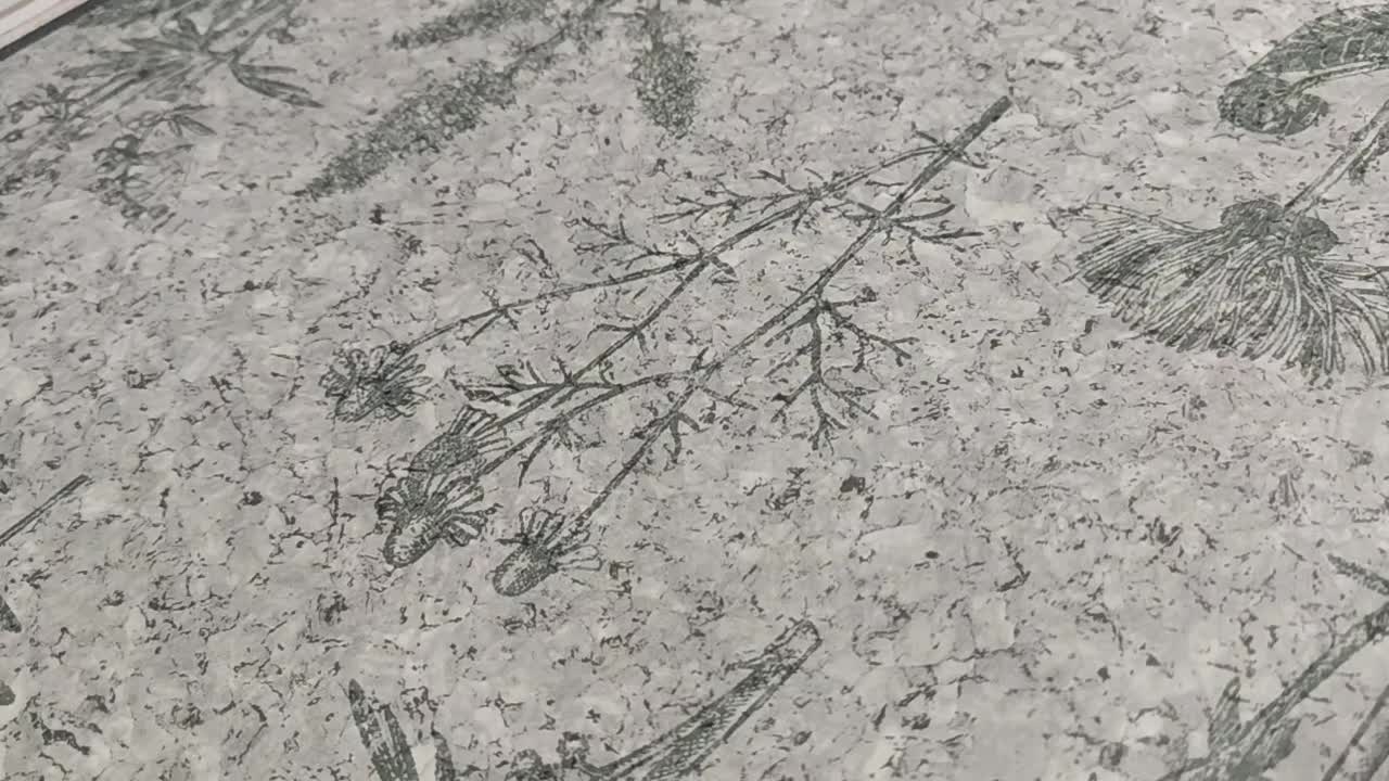 Dekor tapéta zöldeskék parafa hatású alapon mezei virágos mintával