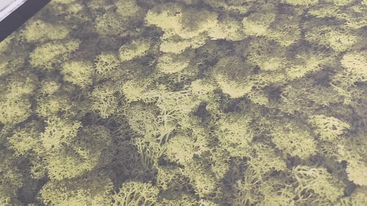 Vinyl dekor tapéta zsengezöld moha mintával