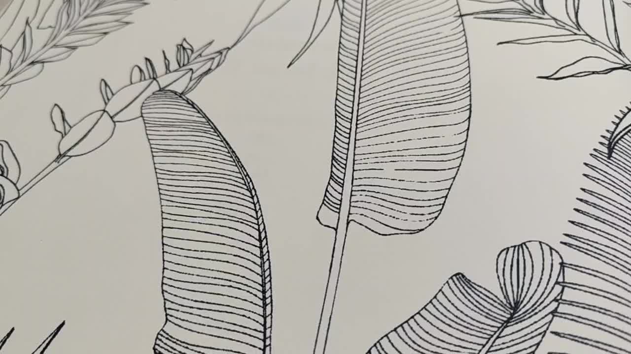 Fekete fehér minimál levélmintás tapéta