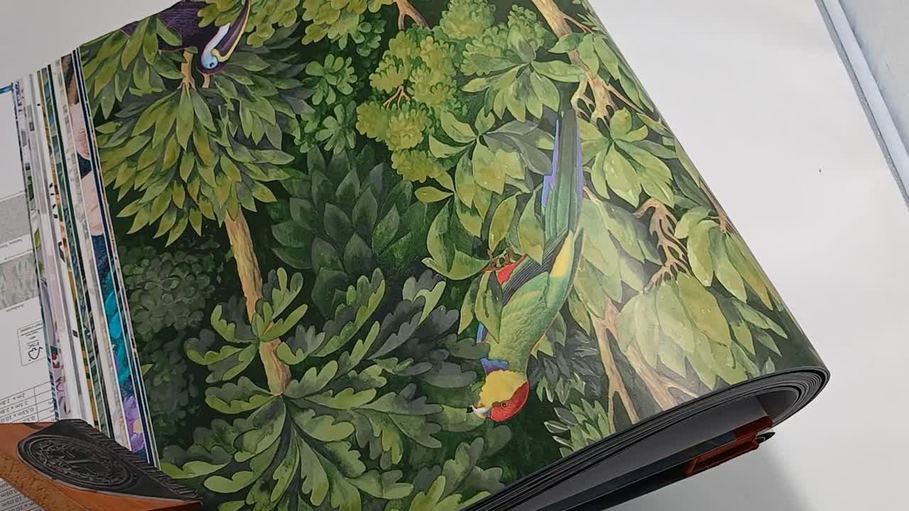 Trópusi dzsungel mintás dekor tapéta papagáj tukán mintával